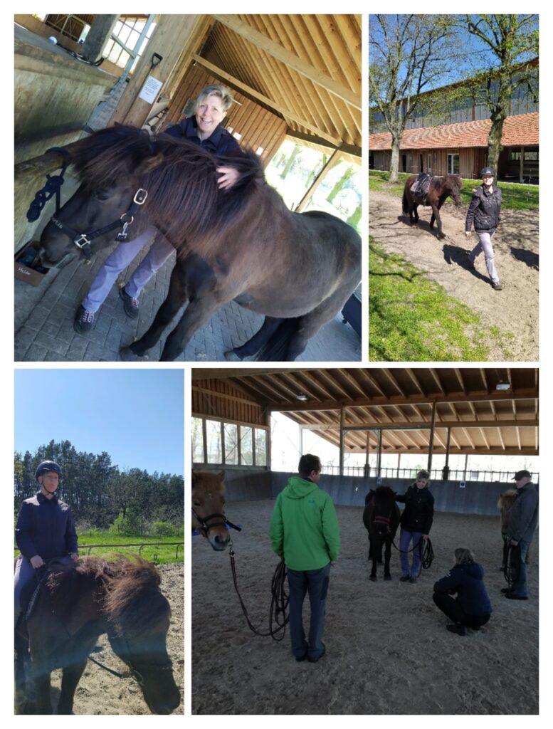 Pferdegestütztes Coaching und Reitschule auf Gut Birkholz beim Retreat